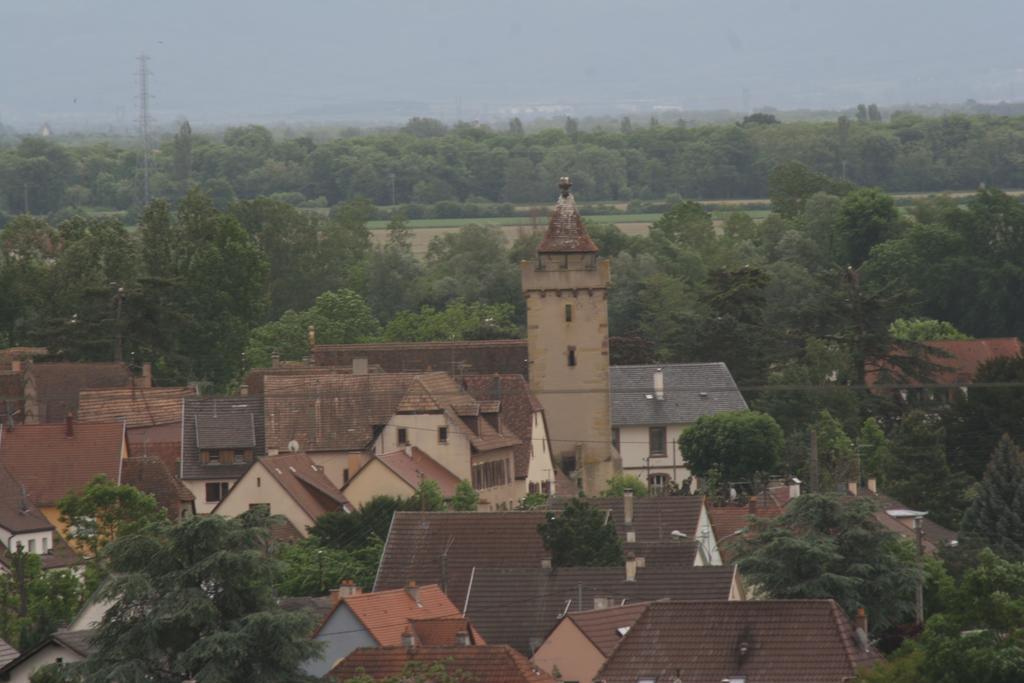 Gite Duplex Du Vignoble Alsace 후파슈 외부 사진