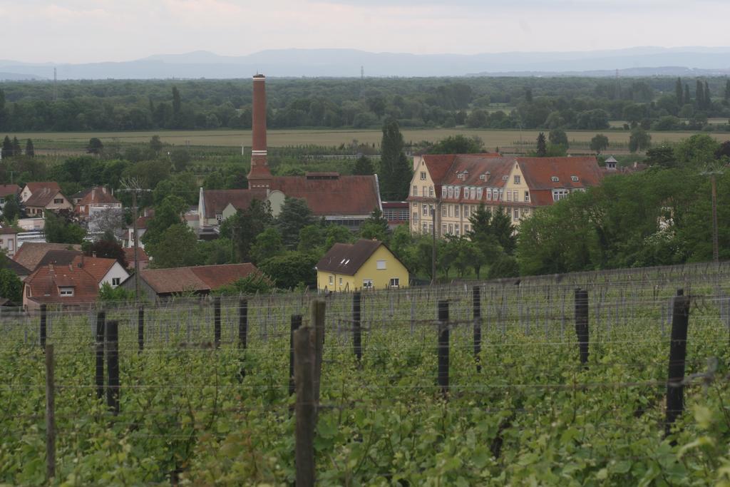 Gite Duplex Du Vignoble Alsace 후파슈 외부 사진